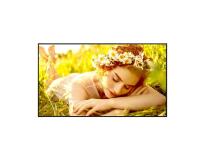 50UL5Q-M UHD Signage