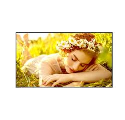 50UL5Q-M UHD Signage