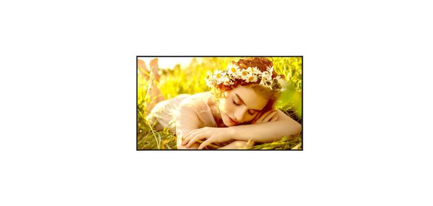 50UL5Q-M UHD Signage