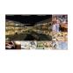 55 LED IPS 1920x1080 16:9 700 nit 1200:1 8ms 178°/178° 24/7 no Speaker Wi-Fi opz. 600x400 Land./Port. Bezel to bezel 0.88mm NEMKO