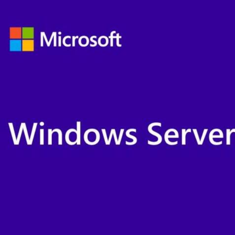 WINDOWS SERVER CAL 2022 ITALIAN 1PK DSP OEI 5 CLT USER CAL