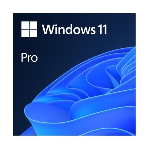 WIN 11 PRO 64BIT ITALIAN 1PK DSP OEI DVD