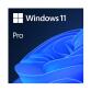 WIN 11 PRO 64BIT ITALIAN 1PK DSP OEI DVD