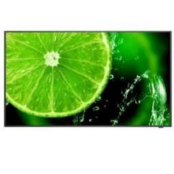 NEC MultiSync E328 E Series - 32" Class (31.5" viewable) LED-backlit LCD display - Full HD - for digital signage