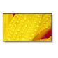 43  M-SERIES LARGE FORMAT DISPLAY  UHD  500CD/M2  D-LED BACKLIGHT     24/7 PROOF  SDM SLOT  CM-SLOT