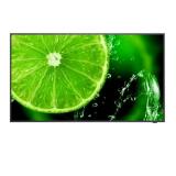 Nec multisync e498 e series - 49" class (48.5" viewable) led-backlit lcd display - 4k - for digital signage