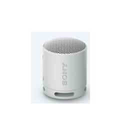 Sony SRS-XB100 Altavoz monofónico portátil Gris