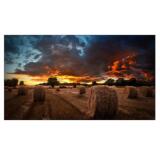 Samsung VM55B-U VMB-U Series - 55" LED-backlit LCD display - Full HD - for digital signage