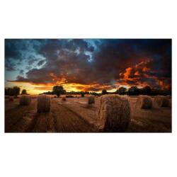 Samsung VM55B-U VMB-U Series - 55" LED-backlit LCD display - Full HD - for digital signage