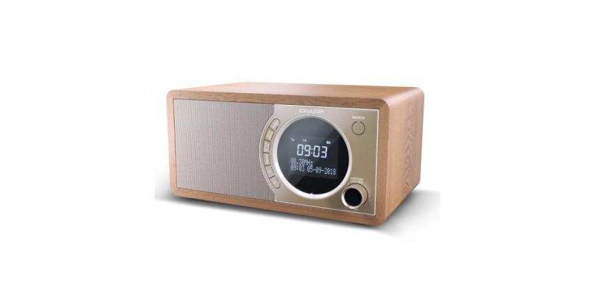 RADIO DIGITALE DR450 BROWN