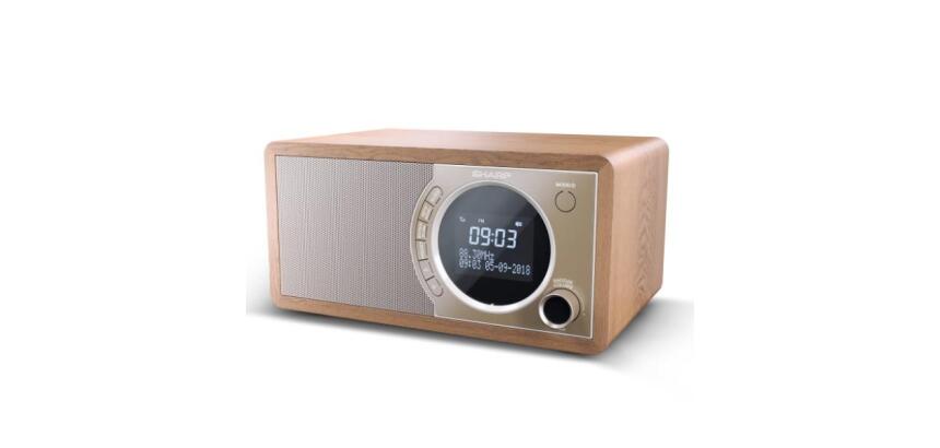RADIO DIGITALE DR450 BROWN