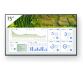 Sony FW-75BZ30L visualizzatore di messaggi Pannello piatto per segnaletica digitale 190,5 cm (75") LCD Wi-Fi 440 cd/m² 4K Ultra HD Nero Android 24/7