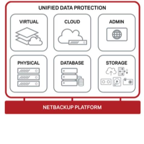 ESSENTIAL 12 MONTHS INITIAL FOR NETBACKUP OPT LIBRARY BASED TAPE DRIVEXPLAT 1 DRIVE ONPREMISE STANDARD PERPETUAL LICENSE CORPORATE