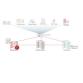 SYSTEM RECOVERY SERVER ED WIN 1 SERVER ONPREMISE STANDARD LICENSE +   ESSENTIAL MAINTENANCE BUNDLE INITIAL 36MO CORPORATE