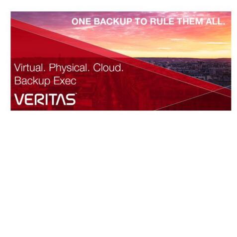 ESSENTIAL 12 MONTHS RENEWAL FOR BACKUP EXEC AGENT FOR VMWARE AND      HYPER-V WIN 1 HOST SERVER ONPREMISE STANDARD PERPETUAL LICENSE GOV
