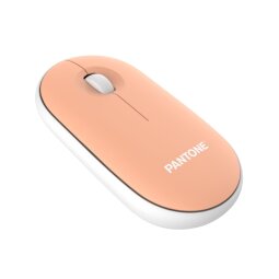 Tastiere e mouse - PANTONE - Mouse Wireless [IT COLLECTION]