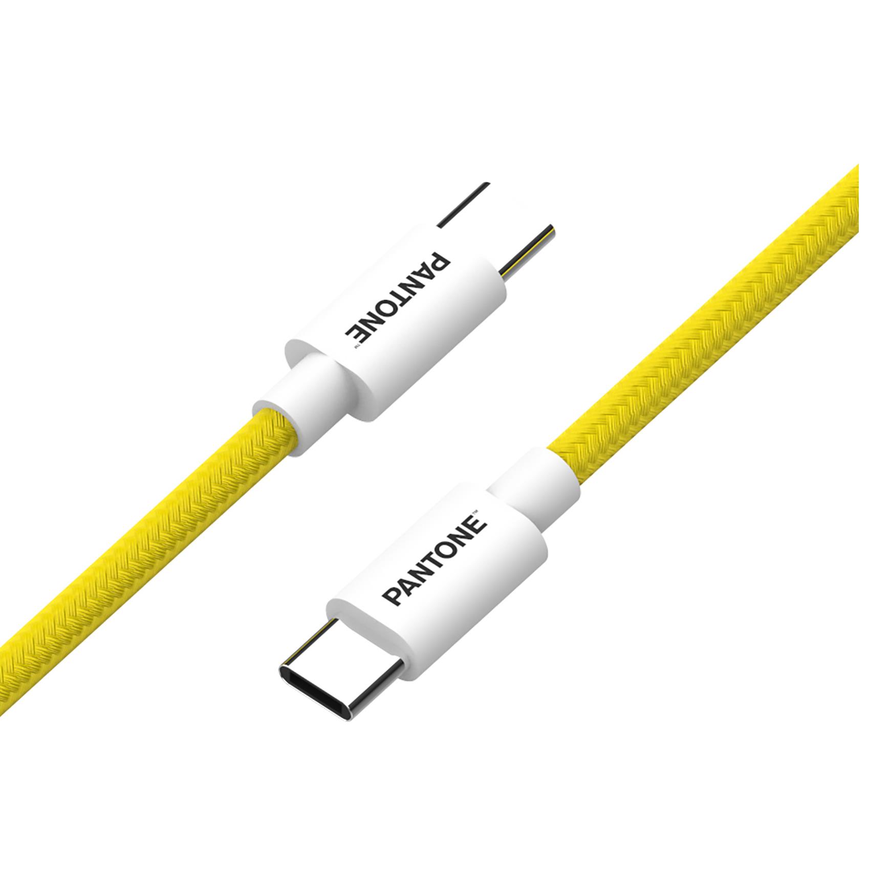 PANTONE - USB-C to USB-C Cable 60W su