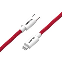 Pantone - USB-C - Lightning cable