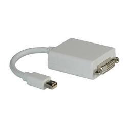 Adattatore Mini DisplayPort/NB Apple - DVI-D 24+1