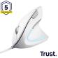 Trust Verto mouse Ufficio Mano destra USB tipo A Ottico 1600 DPI