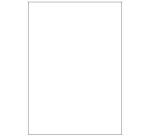 Etichette bianche senza margini - Laser/Inkjet/Copiatrici - 210x297 - 100 ff