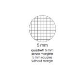 CF 10 QUADERNI COLOR PPL A4 80GR RIGATURA 5MM FG 20+1 COL. ASS.