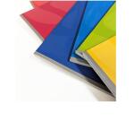 CF 12 QUADERNI COLOR A5 80GR RIGATURA C FG 20+1 COVER 240GR COL. ASS.