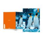 Maxiquaderno Animal fantasia - A4 - 40+2 fogli - 80gr - rigo di 1a - BM