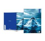 Maxiquaderno Animal fantasia - A4 - 40+2 fogli - 80gr - rigo di 1a - BM
