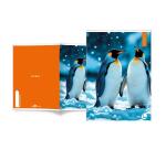 CF 10 QUADERNI ANIMAL A4 80GR RIGATURA 10F FG 20+1 COVER 200GR VERNICE U.V.