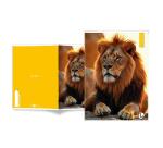 CF 10 QUADERNI ANIMAL A4 80GR RIGATURA 10F FG 20+1 COVER 200GR VERNICE U.V.