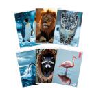 CF 10 QUADERNI ANIMAL A4 80GR RIGATURA 10F FG 20+1 COVER 200GR VERNICE U.V.