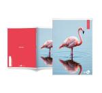 Maxiquaderno Animal fantasia - A4 - 40+2 fogli - 80gr - 4mm - BM