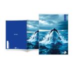 Maxiquaderno Animal fantasia - A4 - 40+2 fogli - 80gr - 4mm - BM