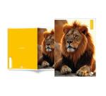 Maxiquaderno Animal fantasia - A4 - 40+2 fogli - 80gr - 1 rigo - BM