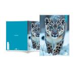 Maxiquaderno Animal fantasia - A4 - 40+2 fogli - 80gr - 1 rigo - BM