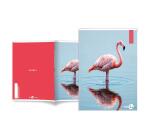 Maxiquaderno Animal fantasia - A4 - 40+2 fogli - 80gr - 1 rigo - BM