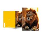 Maxiquaderno Animal fantasia - A4 - 40+2 fogli - 80gr - rigo di 3a - BM