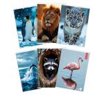 Maxiquaderno Animal fantasia - A4 - 40+2 fogli - 80gr - rigo di 3a - BM