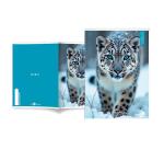 Maxiquaderno Animal fantasia - A4 - 40+2 fogli - 80gr - rigo di 3a - BM