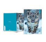Maxiquaderno Animal fantasia - A4 - 40+2 fogli - 80gr - 10mm - BM