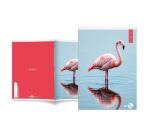 Maxiquaderno Animal fantasia - A4 - 40+2 fogli - 80gr - 10mm - BM