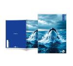 Maxiquaderno Animal fantasia - A4 - 40+2 fogli - 80gr - 5mm - BM