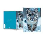 Maxiquaderno Animal fantasia - A4 - 40+2 fogli - 80gr - 5mm - BM