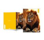 Maxiquaderno Animal fantasia - A4 - 40+2 fogli - 80gr - 5mm - BM