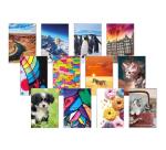 CF 4 QUADERNI MAXI CARTONATI A4 70GR RIGATURA 1R FG 128+1 COVER CARTO NATA PLASTICA LUCIDA 4 GRAFICHE ASSORTITE