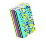 CF10 MAXI QUADERNI A4 100GR RIGATURA 10F FG 18+1 COVER PESANTE 250GR PLASTICA OPACA + SERIGRAFIA LUCIDA 9 COLORI ASSORTITI
