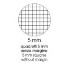 CF 5 QUADERNI MAXI SPIRALATI FLUO A4 80GR RIGATURA 5MM NO FORI DOPPIA COVER 230GR PLASTICA LUCIDA