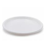 CF20 PIATTI PIANI BIA 14GR PP MULTI