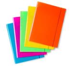 CF10 CARTELLINE CON ELASTICO FLUO ASS